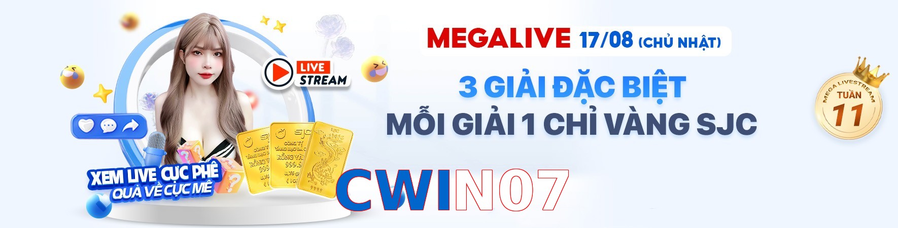 CWIN07