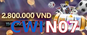CWIN07