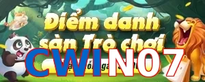 CWIN07